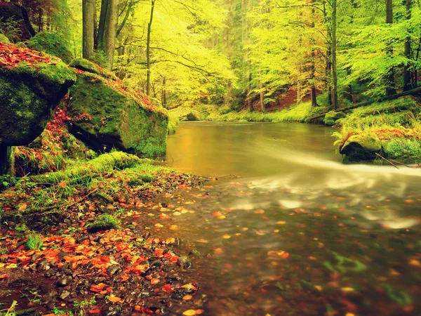 Sonbahar renkli orman dağ nehir yukarıda. Ağaçları ile sarı turuncu yansıma yaprakları altında su. — Stok fotoğraf