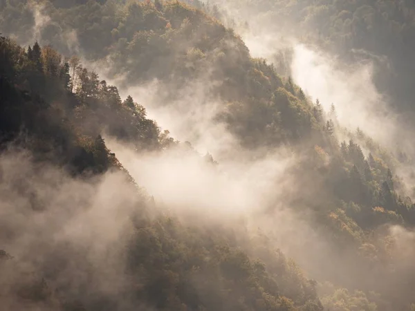 Φθινόπωρο Ανατολή σε ένα όμορφο βουνό στο πλαίσιο αντιστροφής. Κορυφές λόφων λουρίδα πυκνή ομίχλη — Φωτογραφία Αρχείου