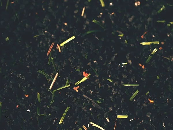 Сирий каучук зимового футбольного дерну. Крупним планом вид на штучне трав'яне поле на футбольному майданчику . — стокове фото