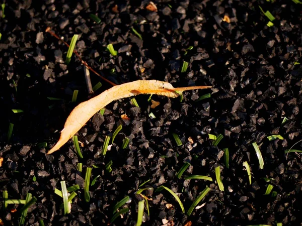 Ruwe rubber van Winter Soccer Turf. Close-up beeld van kunstgras veld op voetbal Speeltuin. — Stockfoto