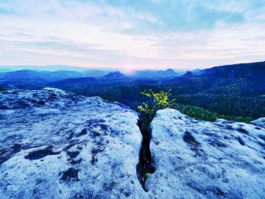 Yaz sonunda derin puslu Vadisi yukarıda maruz kumtaşı cliff. Rüya gibi ruh hali 