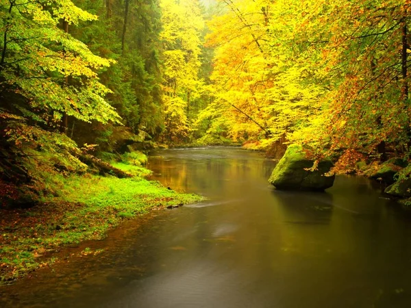 Fall river. Hösten skogsträd av fjällbäck, härlig — Stockfoto