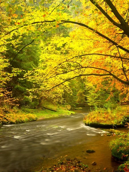 Evening at river in bright autumn colors. Humidity in air after rainy day. — Stock Photo, Image