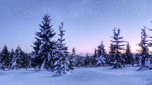 Misterioso paisaje invernal majestuosas montañas en invierno. Árbol mágico cubierto de nieve de invierno. Tarjeta de felicitación fotográfica. Efecto de luz Bokeh — Vídeos de Stock