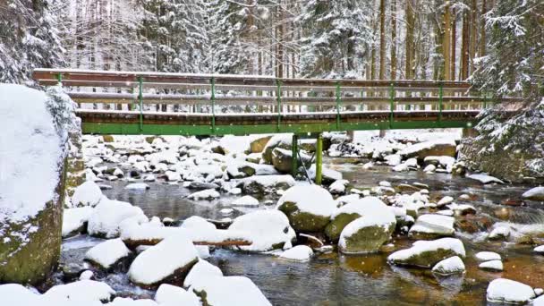 Πρωί χιονίζει στο δάσος του χειμώνα. Τουριστική διαδρομή. Ξύλινη γέφυρα πάνω από ένα μικρό Παγωμένο ποτάμι στο δάσος — Αρχείο Βίντεο