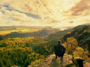 Kalın sis kayalar ve şerit arasında sallanan Ladin ormandaki yüksek ağaçlar üzerinde. Peri daybreak sessiz kayalarda.