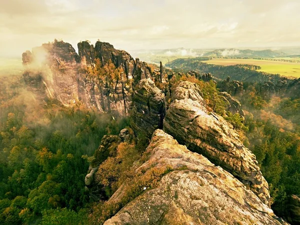 濃霧は岩とストリップ間の揺動のトウヒ林の高木。サイレント岩の妖精夜明け. — ストック写真