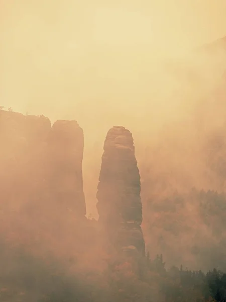 Den tjocka dimman svängande mellan stenar och remsa över höga träd i granskog. Fairy gryning i tyst stenar. — Stockfoto