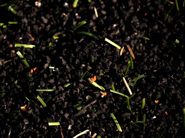 Raw rubber of  plastic grass on artificial football turf. Close up of checking the rubber pieces for turf