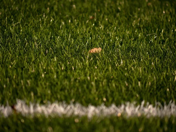 Frontera del campo de juego. Vista de cerca de las líneas blancas en el patio de fútbol. Detalle de a de líneas blancas — Foto de Stock
