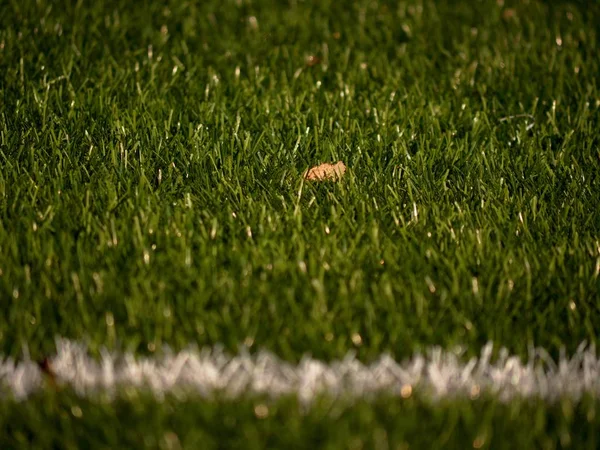 Confine con Playfield. Vista da vicino sulle linee bianche del parco giochi per il calcio. Dettaglio di a di linee bianche — Foto Stock