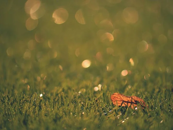 Raw rubber of  Winter Soccer  Turf . Closeup  view of artificial grass field on football playground. — Stock Photo, Image