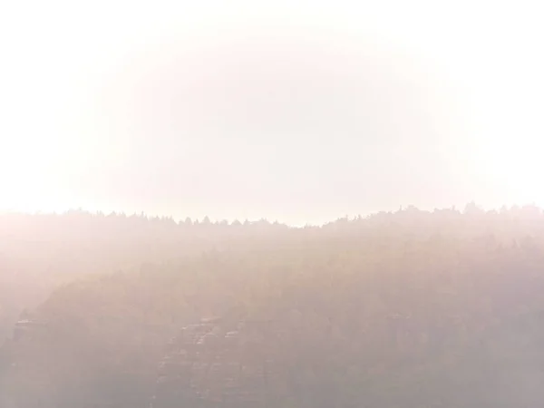Zimne i wilgotne rano w jesień natura. Kontury forest Hills ukryte w gęstej mgle. Jasne, widok — Zdjęcie stockowe