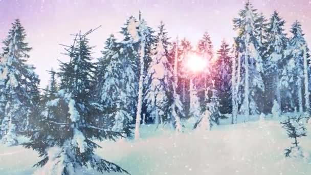 Schneefall in einem Winterwald mit schneebedeckten Bäumen. kalte rote Sonne zwischen Fichten. — Stockvideo
