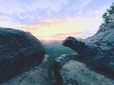 Yaz sonunda derin puslu Vadisi yukarıda maruz kumtaşı cliff. Rüya gibi ruh hali 