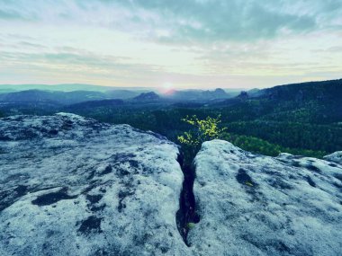 Sisli vadinin sabah görünüme kumtaşı uçuruma. Kumtaşı doruklarına sisli bulutu arttı