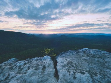 Yaz sonunda derin puslu Vadisi yukarıda maruz kumtaşı cliff. Rüya gibi ruh hali 