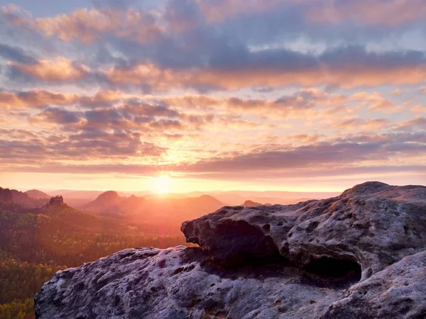 Πρωινή άποψη πάνω από γκρεμό ψαμμίτη στην ομιχλώδη κοιλάδα. Τσαριτσάνη αυξήθηκε από ομιχλώδη σύννεφο — Φωτογραφία Αρχείου
