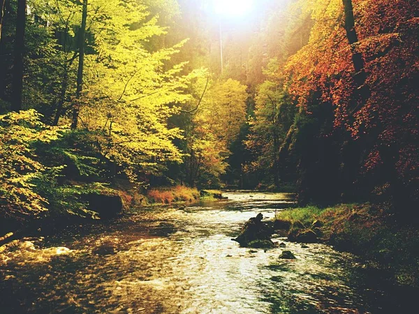 Lebendiger Herbst. Farben des herbstlichen Flusses im Wald. Bunte Ufer mit Blättern, Blättern und Bäumen — Stockfoto