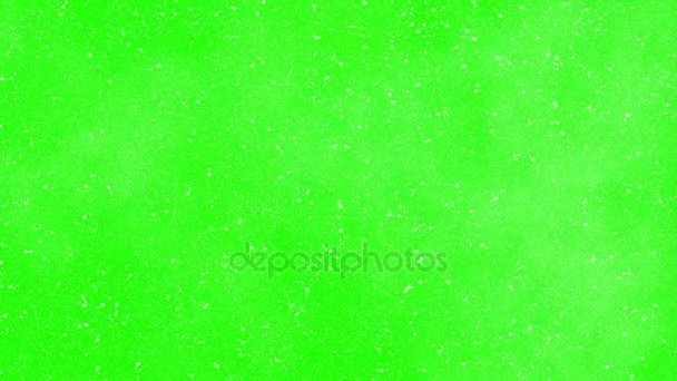 Caída de la pantalla verde nieve — Vídeo de stock