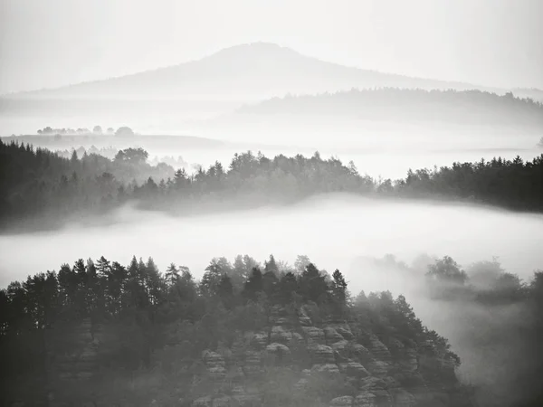 View into misty valley. High trees and rocky peaks increased from thick fog.  The first sun rays — Stock Photo, Image