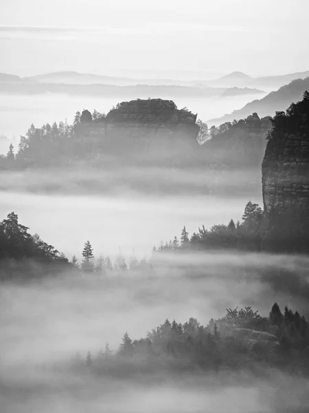 Vista sulla profonda valle nebbiosa della Sassonia. Picchi di arenaria e colline rocciose che spuntano dalla fitta nebbia . — Foto Stock