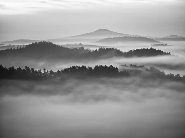 Paysage rêveur perdu dans un épais brouillard. Fantastique matinée rayonnante de lumière douce, vallée brumeuse . — Photo