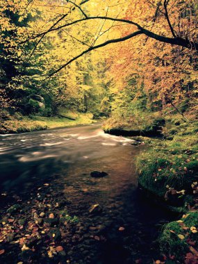 Parlak sonbahar renkleri nehirde de akşam. Hava yağmurlu bir gün sonra nem.