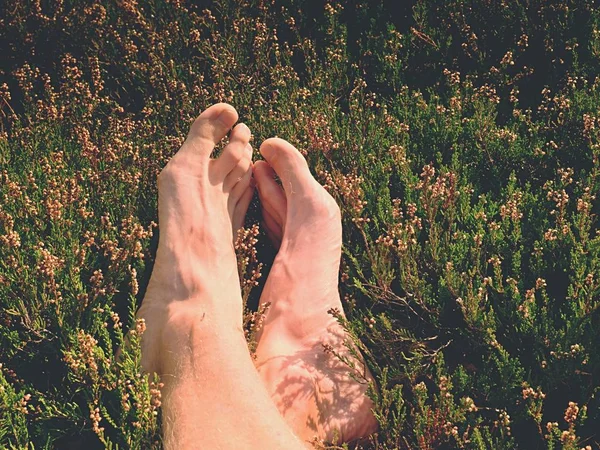 Mężczyzna nogi na suchy krzew wrzos. Zmęczone nogi na skalistym szczycie bove krajobraz. Czysta skóra różowy, jasne paznokcie. — Zdjęcie stockowe