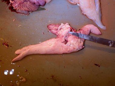 Taze morina kesilmiş eller balık, kaldırmak ve karaciğerleri kontrol edin. Taze balık yakaladım. Denetim iç organlar 