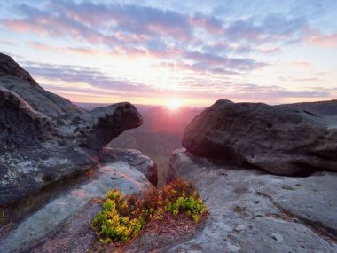 Yaz sonunda derin puslu Vadisi yukarıda maruz kumtaşı cliff. Rüya gibi ruh hali 
