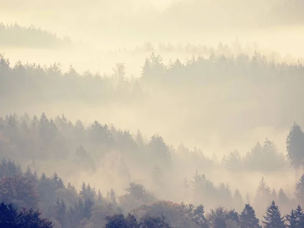 Великолепный тяжелый туман в пейзаже. Осенний сливочный туман в пейзаже . — стоковое фото