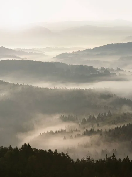 Prachtige zware mist in landschap. Herfst romige mist in landschap. — Stockfoto