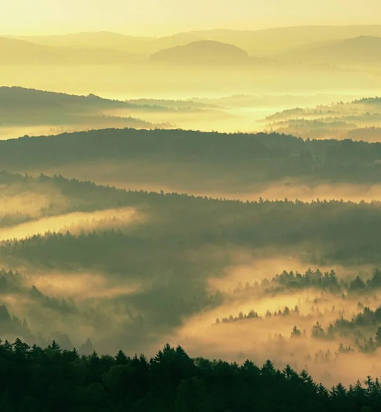 Magnifique brouillard épais dans le paysage. Brouillard crémeux d'automne dans le paysage . — Photo