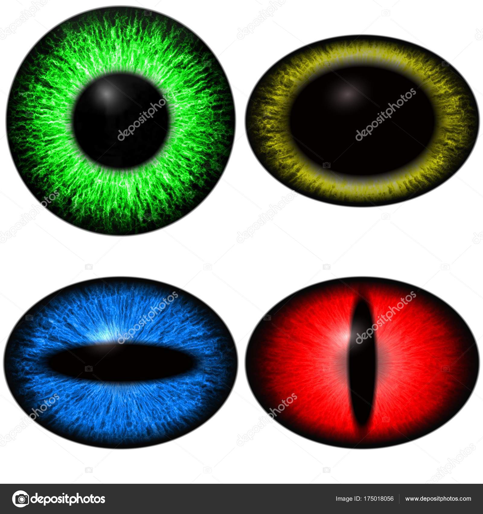 unequal pupil size bipolar unequal pupil size bipolar