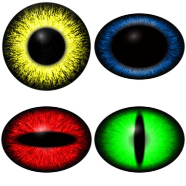 Four color eyes set with diferent pupil size. Eye isolated on white background clipart