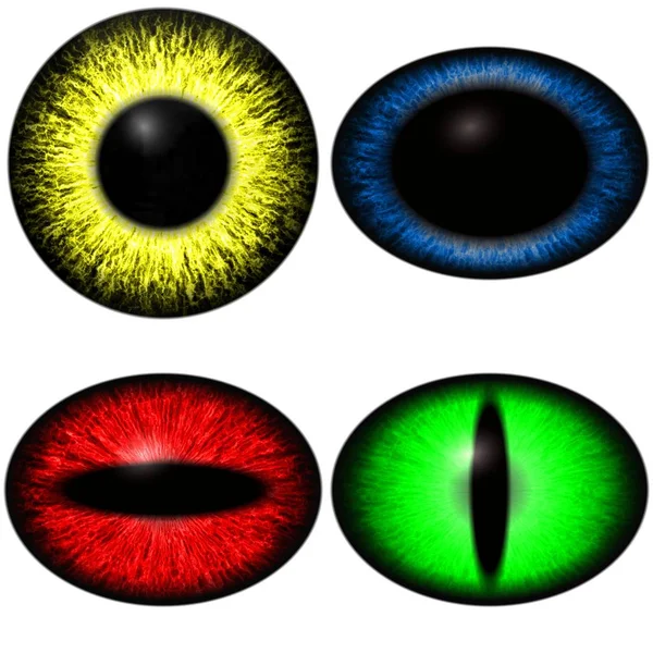 Four Color Eyes Set Diferent Pupil Size Eye Isolated White — Stock Photo, Image