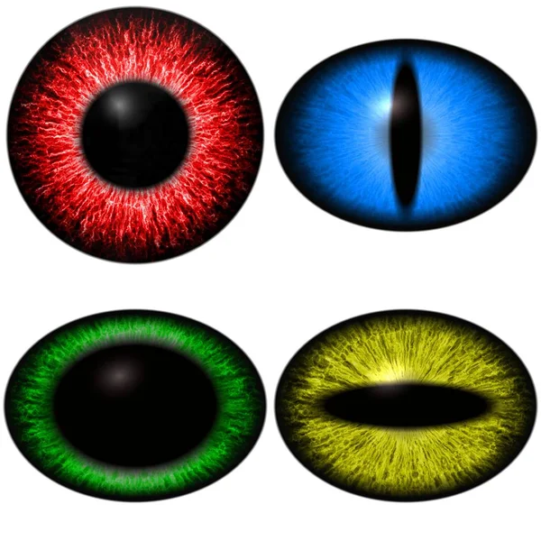 Four Color Eyes Set Diferent Pupil Size Eye Isolated White — Stock Photo, Image