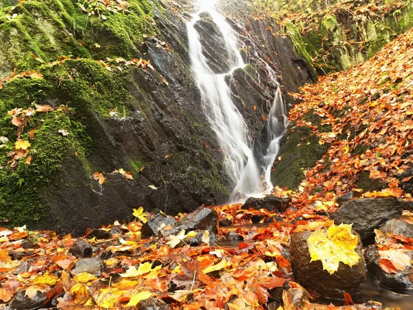 Herbst-Wasserfall in Basaltgestein. Leuchtende Bäche und viele bunte Blätter am Ufer — Stockfoto