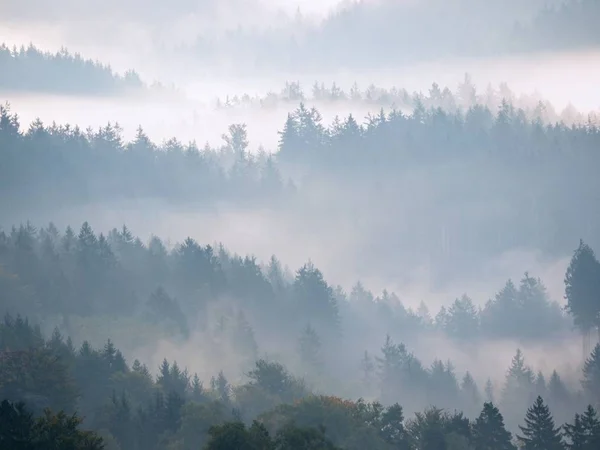 Sonbahar gündoğumu. İnversiyon hava içinde güzel bir dağlık manzara içinde derin orman. — Stok fotoğraf