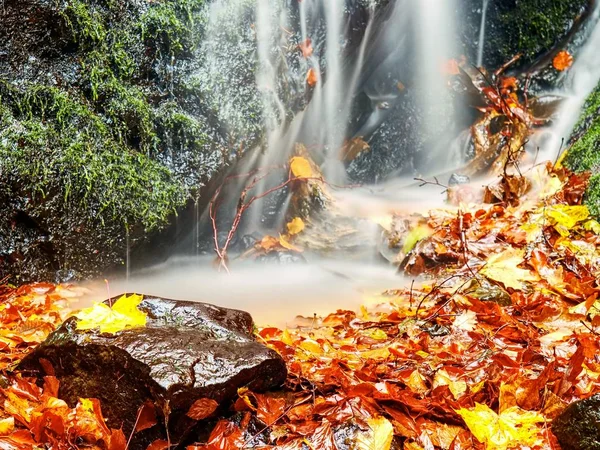 Renkli dağ nehir, dere sonbahar renkleri yakaladı bırakır. Dalga yosunlu taş üzerinde — Stok fotoğraf
