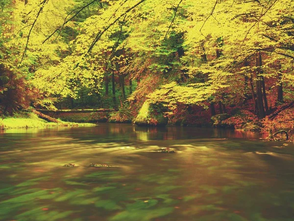 Otoño vivo. Colores del río otoñal en el bosque. Bancos coloridos con hojas, hojas árboles — Foto de Stock