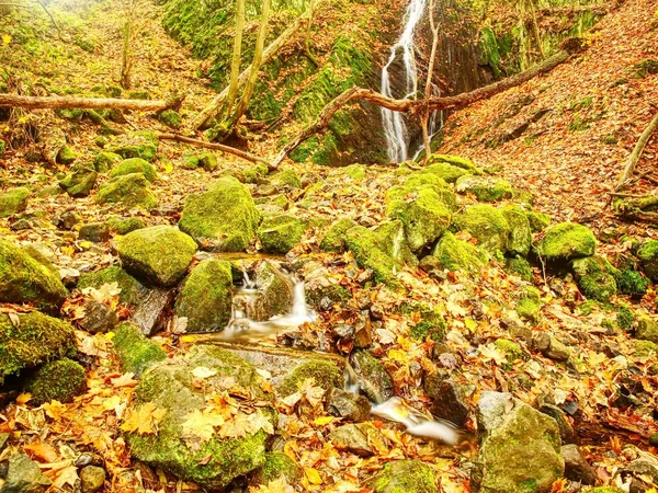 Herbst-Wasserfall in Basaltgestein. Leuchtende Bäche und viele bunte Blätter am Ufer — Stockfoto