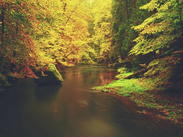 Sera a fiume in colori autunnali lucenti. Umidità nell'aria dopo la giornata piovosa . — Foto Stock