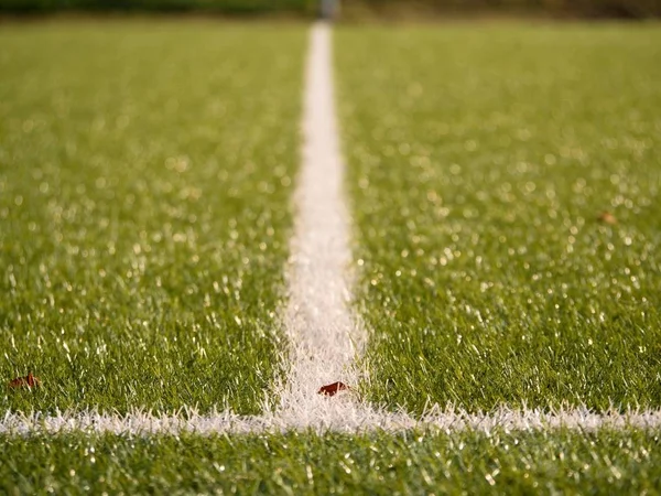 Spelplanen gränsen. Närbild Visa att vita linjer på fotboll lekplats. Detalj av en av vita linjer — Stockfoto