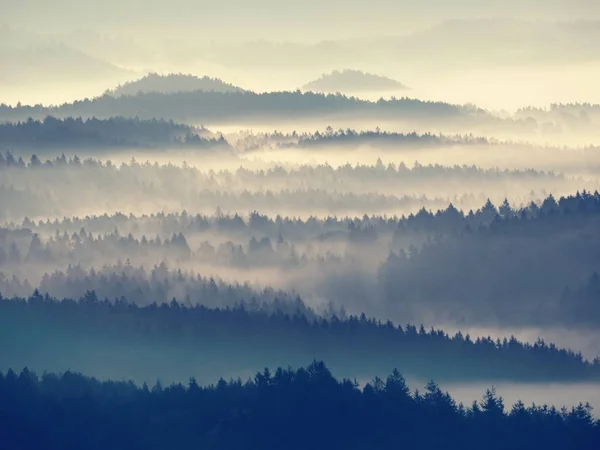 Autumn sunrise. Deep forest in a beautiful hilly landscape within inversion weather. — Stock Photo, Image