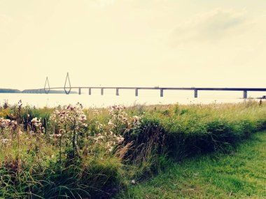 Ünlü Faro Köprüsü Danimarka. Köprü Falster ve Zelanda bağlanmak