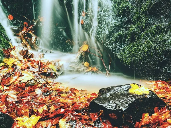 Renkli yapraklar ve köpüklü hızlı akıntı. Kayalar arasında akan parlak sonbahar renkleri. — Stok fotoğraf
