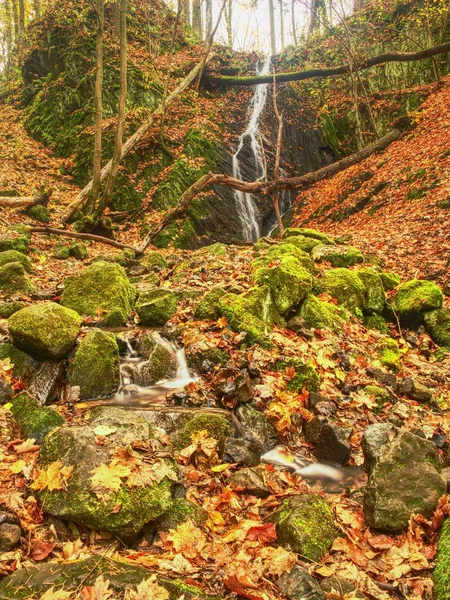 Bunte Blätter und schäumender reißender Strom. Leuchtende Herbstfarben am Bach zwischen wabernden Felsen. — Stockfoto