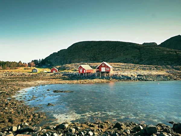 Paisaje costero noruego con una típica casa roja. Casa roja de madera en la orilla del mar — Foto de Stock